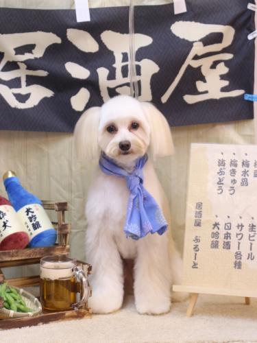 20240622風太郎くん